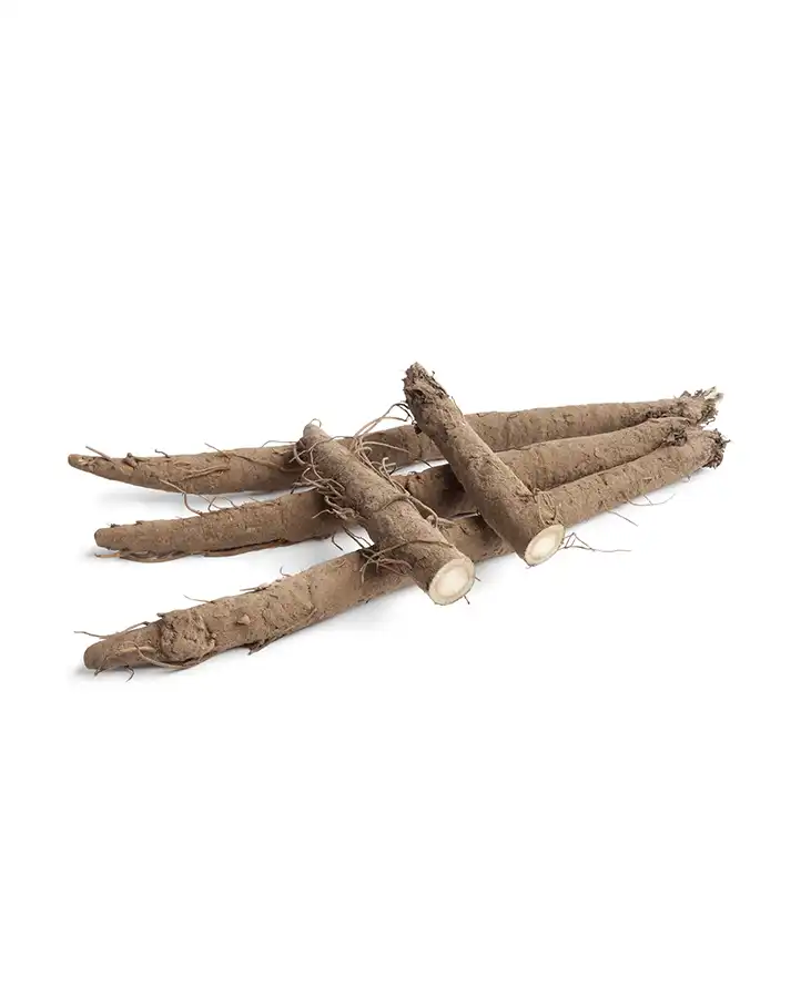 Burdock Root