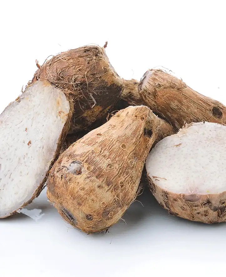 Dioscorea Villosa (Wild Yam) Extract