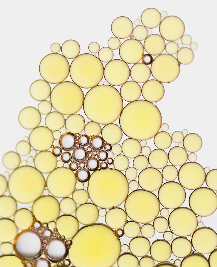 Oligopeptide-5