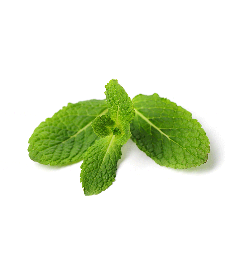 Peppermint Essential Oil