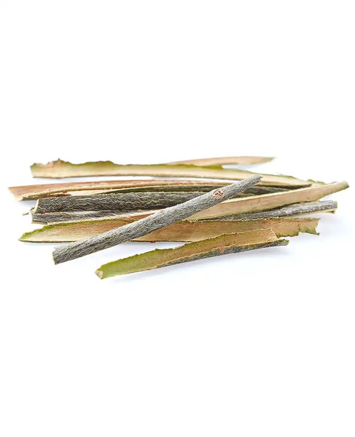 Willow Bark Extract